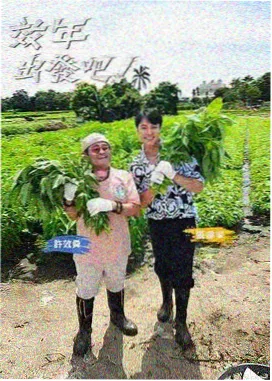编辑手记配图：堆叠的分镜稿与标签贴纸